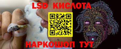 гашик Канаш