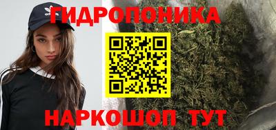 дурь Кандалакша
