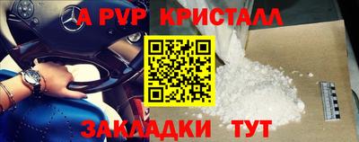прущие грибы Камышлов