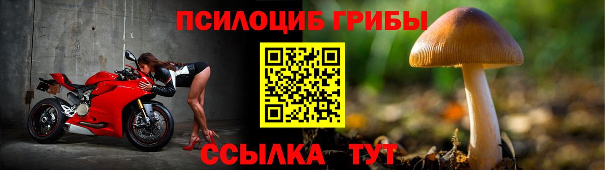 Рузаевка  Галлюциногенные грибы Cubensis  Вход с VPN 